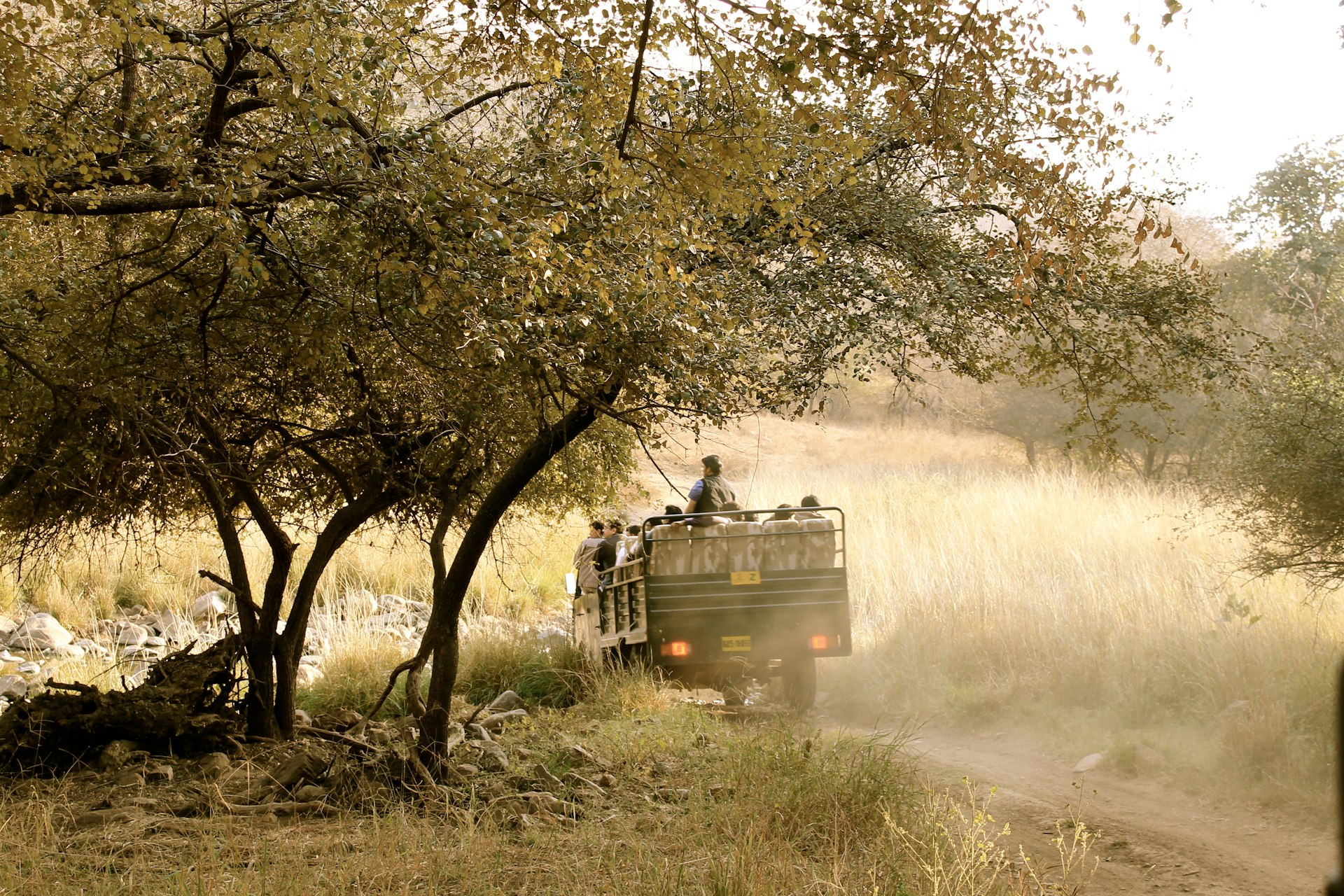 A truck driving down a dirt road next to trees